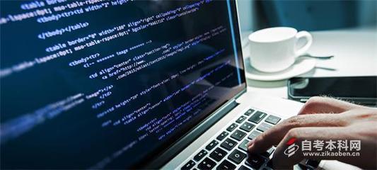 自考计算机应用技术专业核心科目与计算机系统服务专项解析